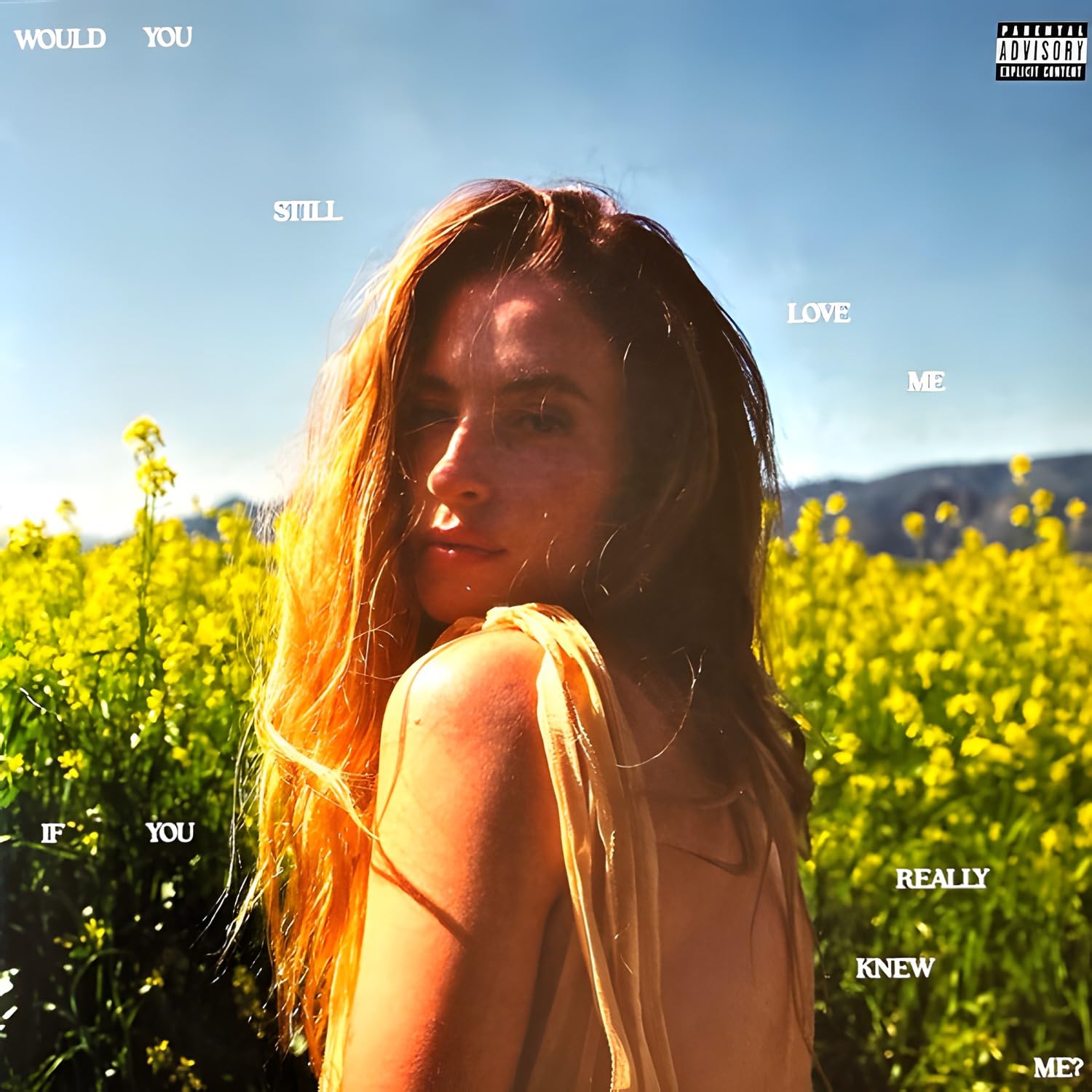 Would You Still Love Me If You Really Knew Me? [VINYL]