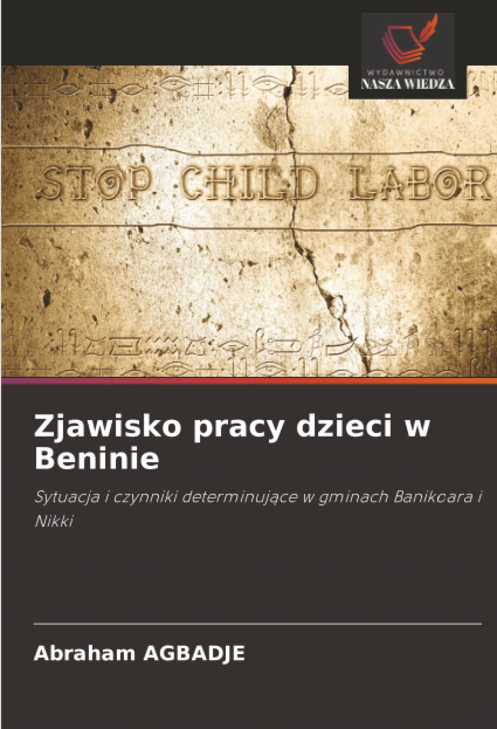 Zjawisko pracy dzieci w Beninie: Sytuacja i czynniki determinujące w gminach Banikoara i Nikki