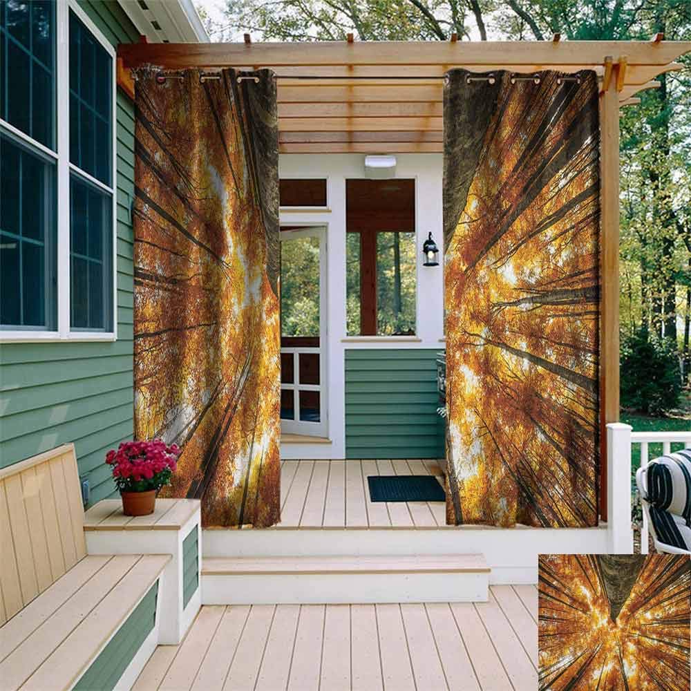 Curtains for bedroom Big High Beech Trees Deciduous Shedding Canadian Maples America Inspired Idyllic for Porch&Beach&Patio W108x84L Orange Brown