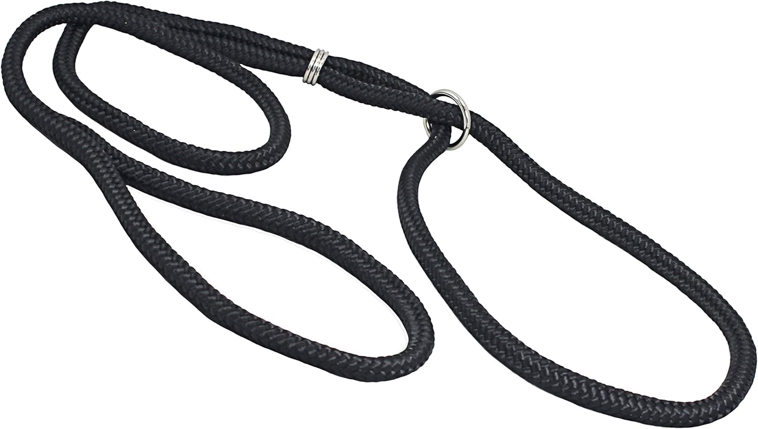 show dog lead