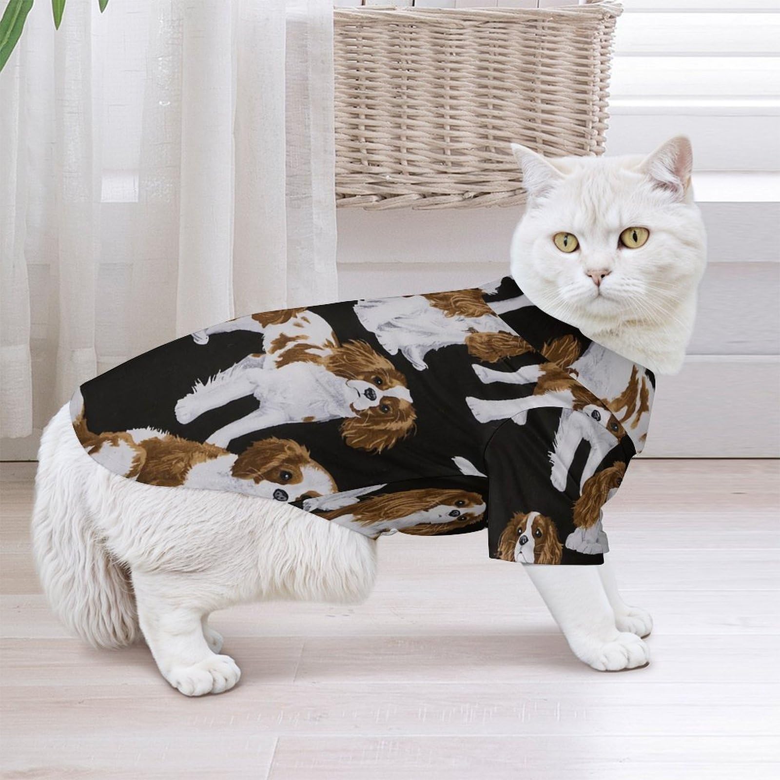 Amazon | ペット服 猫服 犬服 キャバリア・キング・チャールズ 