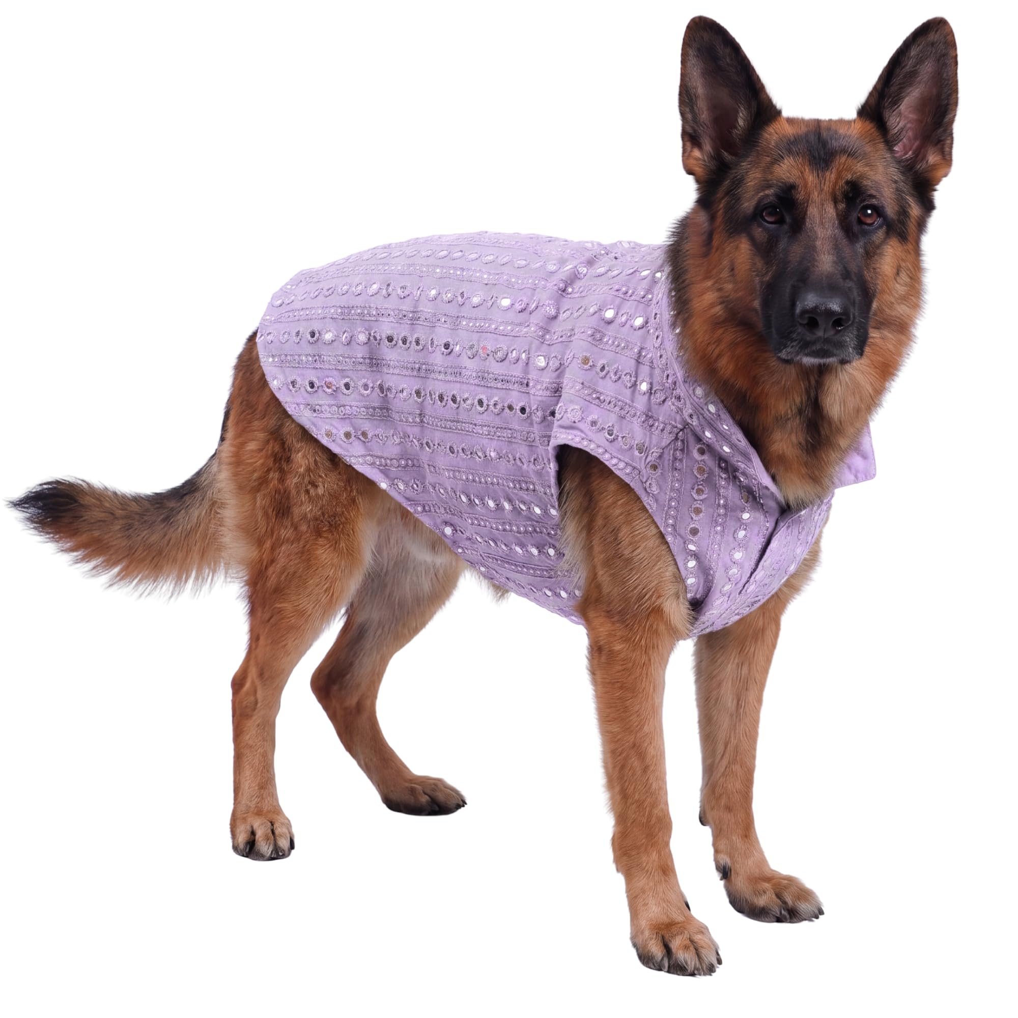 dog kurta -small, medium & large dogs (shih tzu to golden retriever) - cotton ethnic outfit with mirror work, lightweight & breathable, easy velcro fastening (lavender, 5xl)