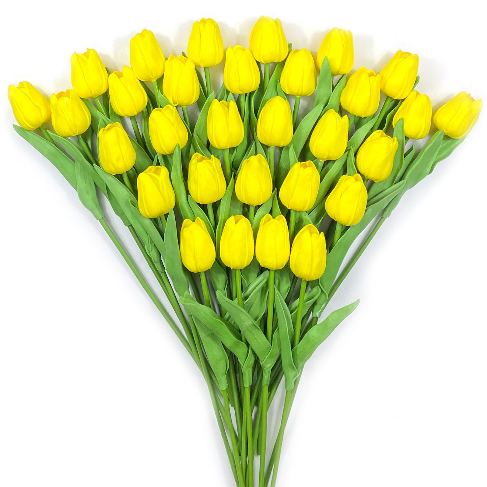 Subacy Yellow Tulips