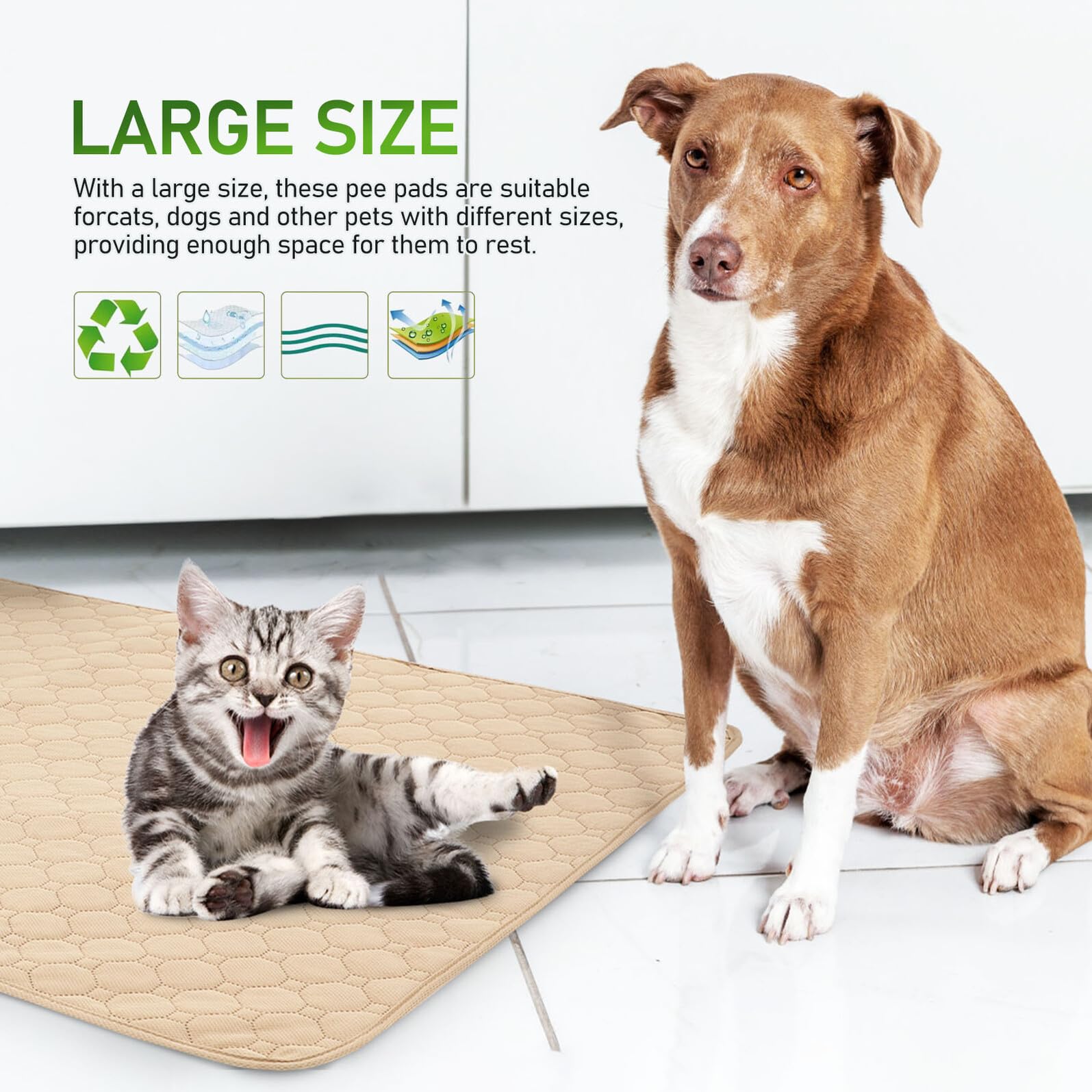 2 pezzi Tappetini Assorbenti per Animali Pannelli Addestramento Cuccioli Impermeabili con Base Antiscivolo per Cani e Gatti Riutilizzabili e Lavabili per Toilette Pet