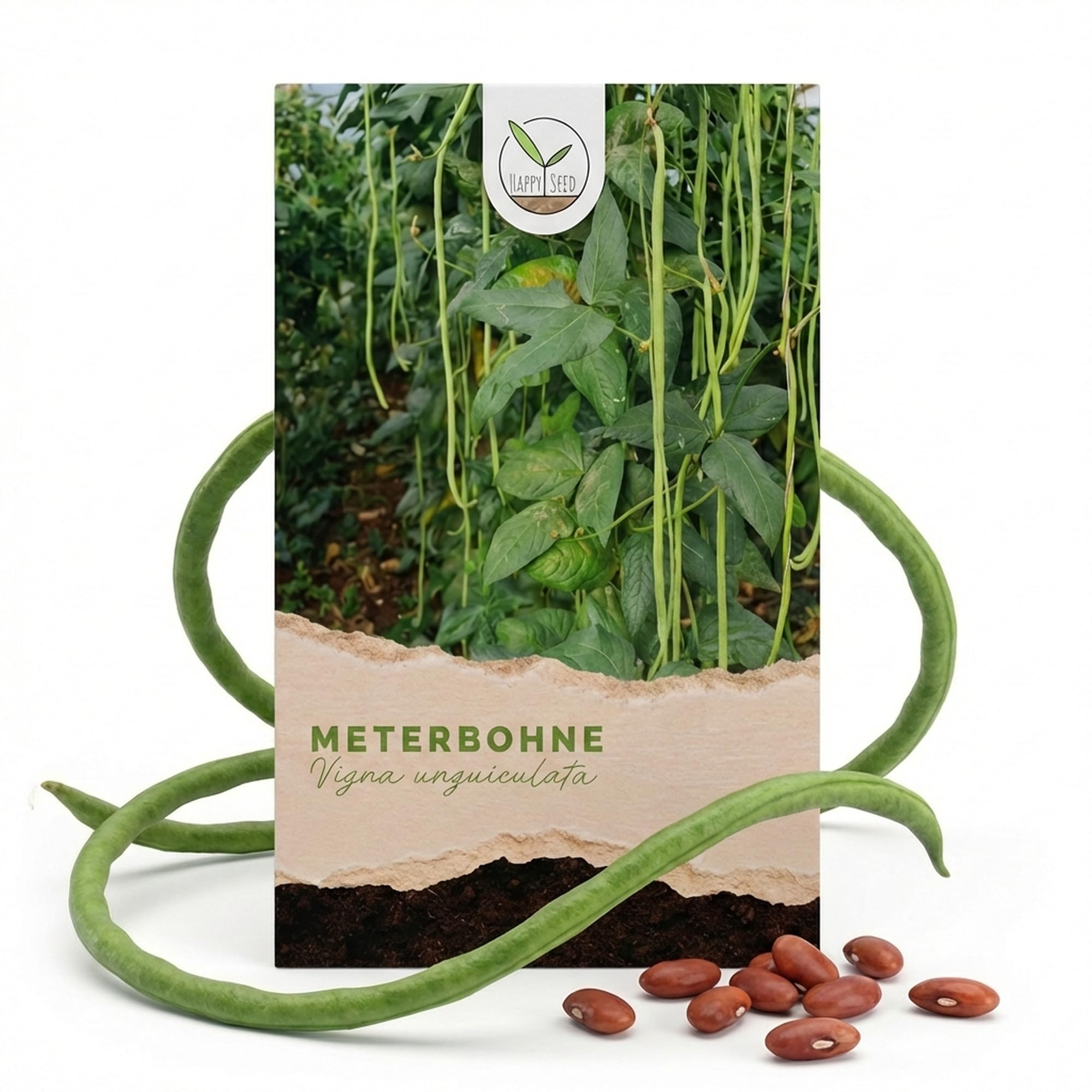 Meterbohne Samen (Vigna unguiculata, 20 Korn) - Spargelbohnen Saatgut ideal für die Anzucht im Garten, Balkon oder Terrasse