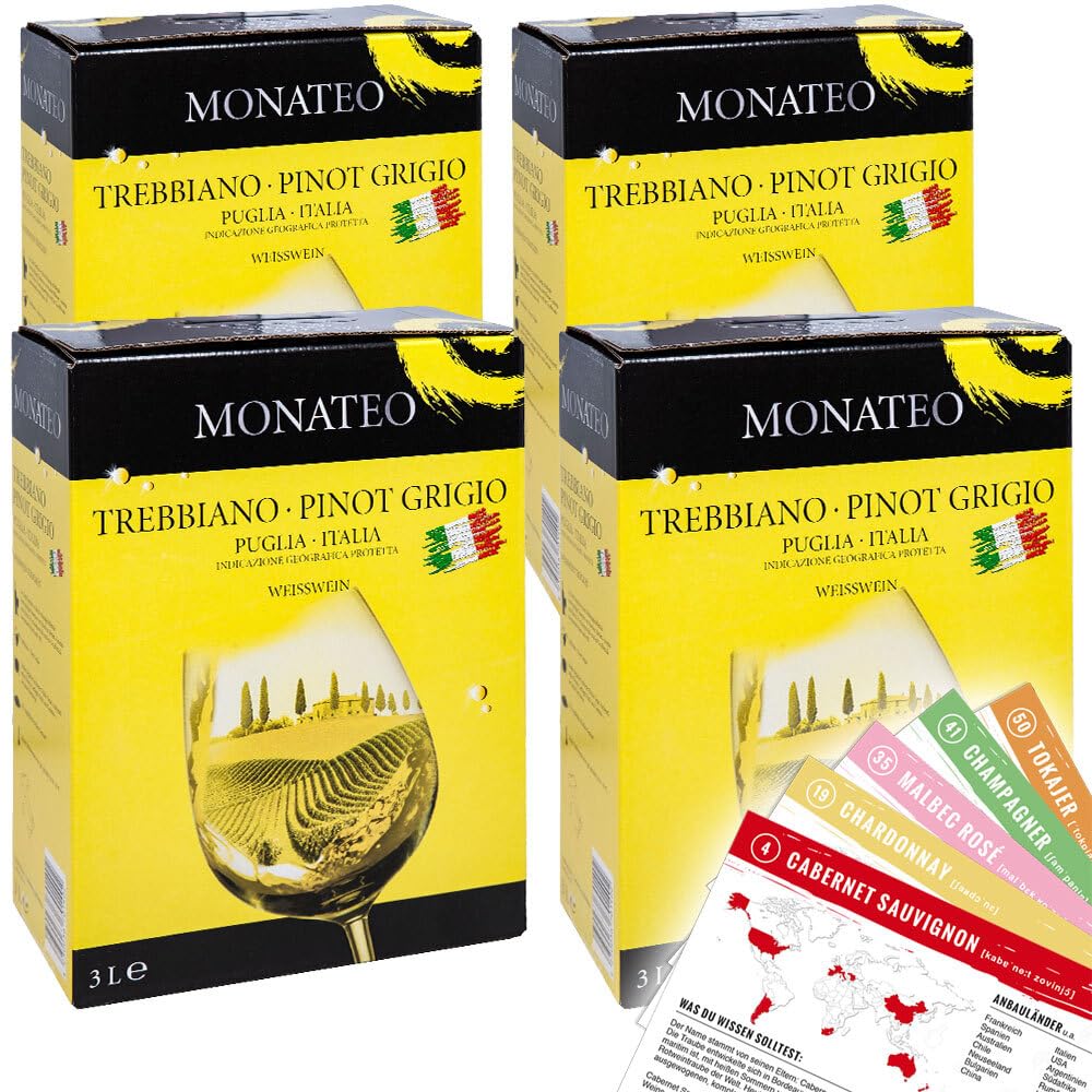 Monateo Pinot Grigio, trocken, Bag-in-Box, sortenreines Weinpaket + VINOX Winecards (4x3,0l)