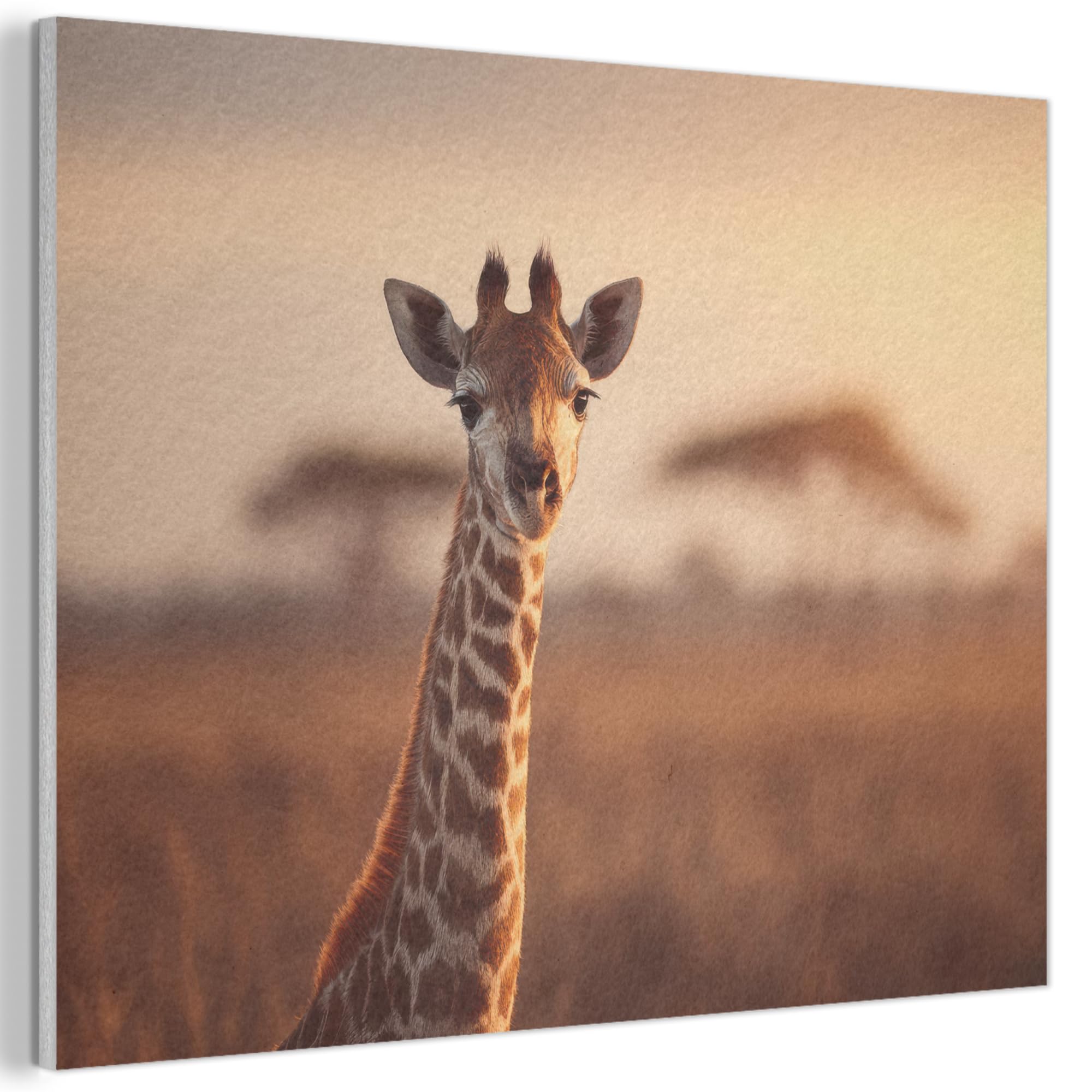 MuchoWow© Felt Panel 100x70 cm Framed Design Print Accent Interior Wallart Decoration Wall Art Giraffe - Savannah - Brown