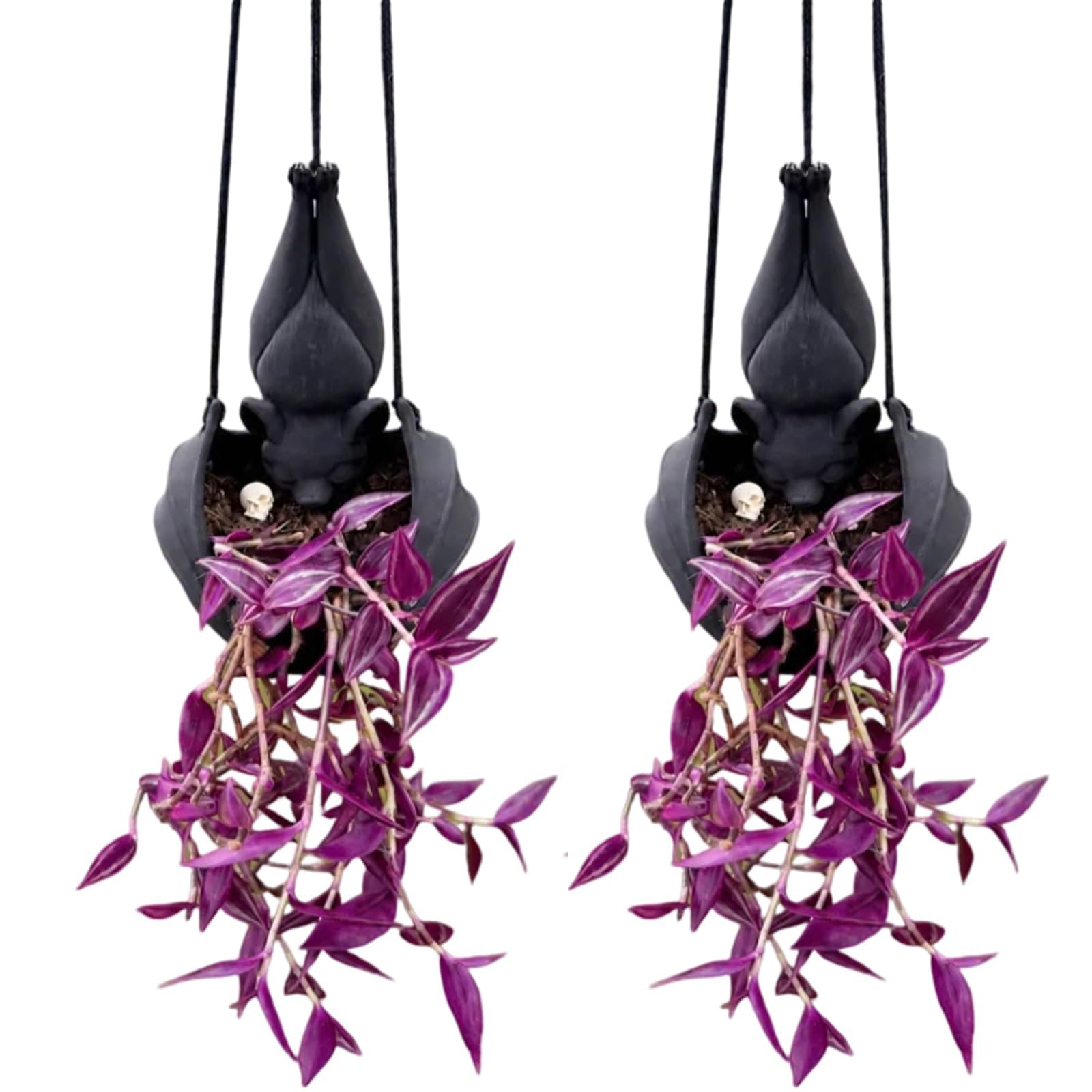 Gothic Bat Hanging Planter Set, Upside Down Bat Wall Plant Pot