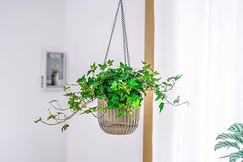 Miniatura 8 de Melphoe 2 Pack Self Watering Hanging Planters Indoor Flower Pots, 6.5 Inch Outdoor Hanging Plant Pot Basket, Plant Hanger with 3Hooks Drainage Holes