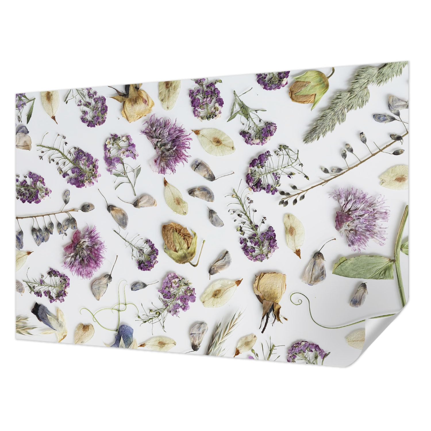 Papier peint photo fleurs séchées de haute qualité Tulup revêtement autocollant durable
