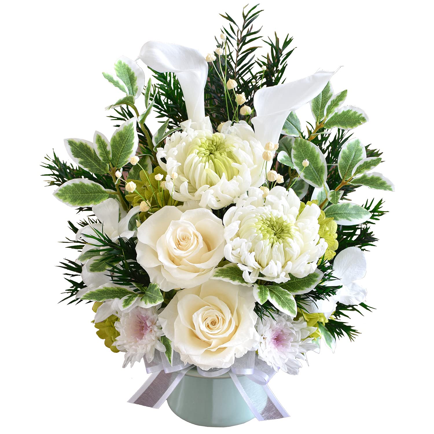 Amazon 花由 プリザーブドフラワー お供え 仏花 アレンジメント 永会 とこしえ N1 日時指定便 プリザーブドフラワー オンライン通販 Amazon 花由 プリザーブドフラワー お供え 仏花 アレンジメント 永会 とこしえ N1 日時指定便 プリザーブドフラワー オンライン通販
