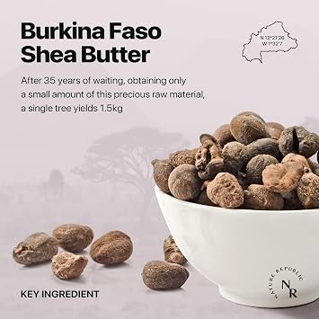 Nature Republic Shea Butter Steam Cream (Ultra) | Daily Face Moisturizer, Rich & Intensive Hydration, Skin Barrier Care, Nourishing Cream, Korean Skin Care, 3.38 fl oz