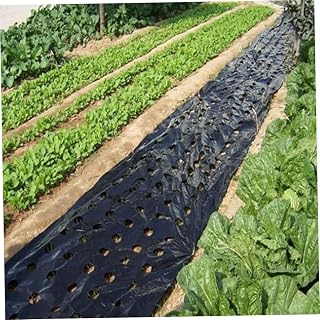 5 Holes Black Plastic Vegetable Film for Agricultural Black Plastic Mulch Film Plant Plastic Film Perforated PE Film for Garden Plant Mulch Membrane intens ely 3X33 Ft