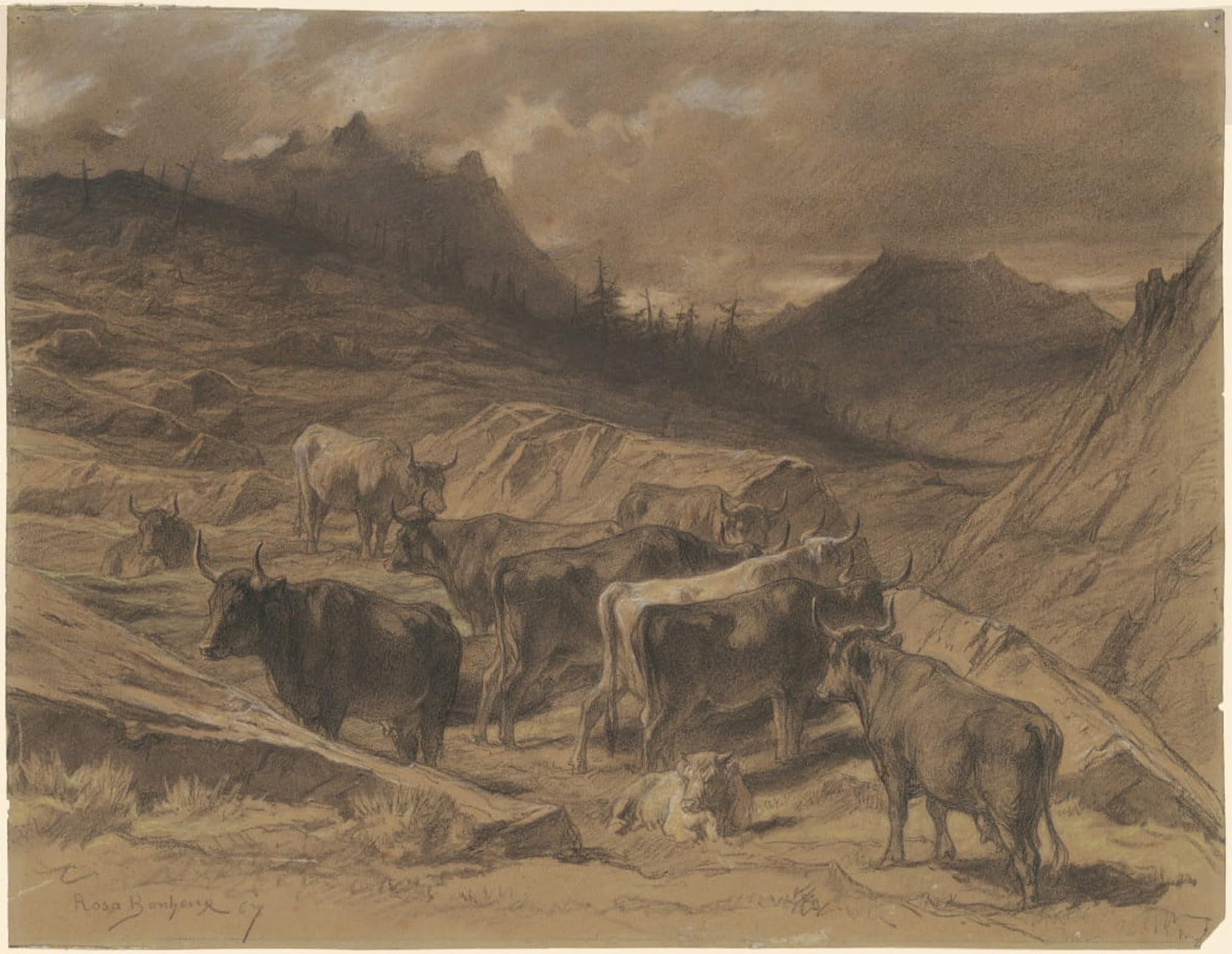 ARTXLXXBN Famous Painting Canvas Artwork Graffiti Print Cattle in the Auvergne by Rosa Bonheur Portrait Canvas Image for Home Decor 60x90cm