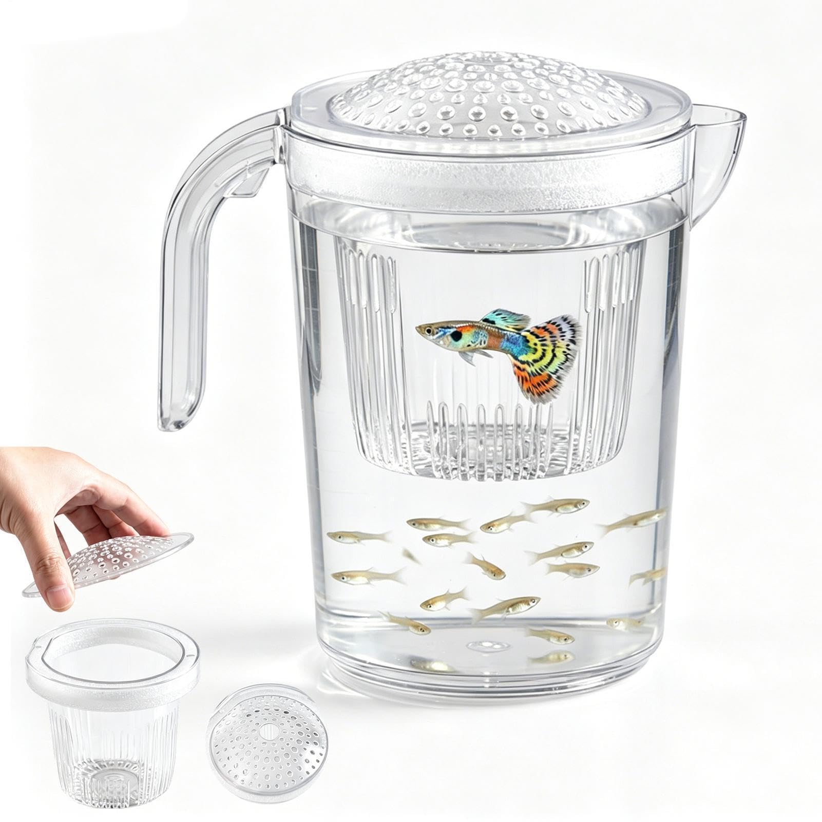 Tasse d'éclosion et bac d'observation de poisson pour crevettes et betta