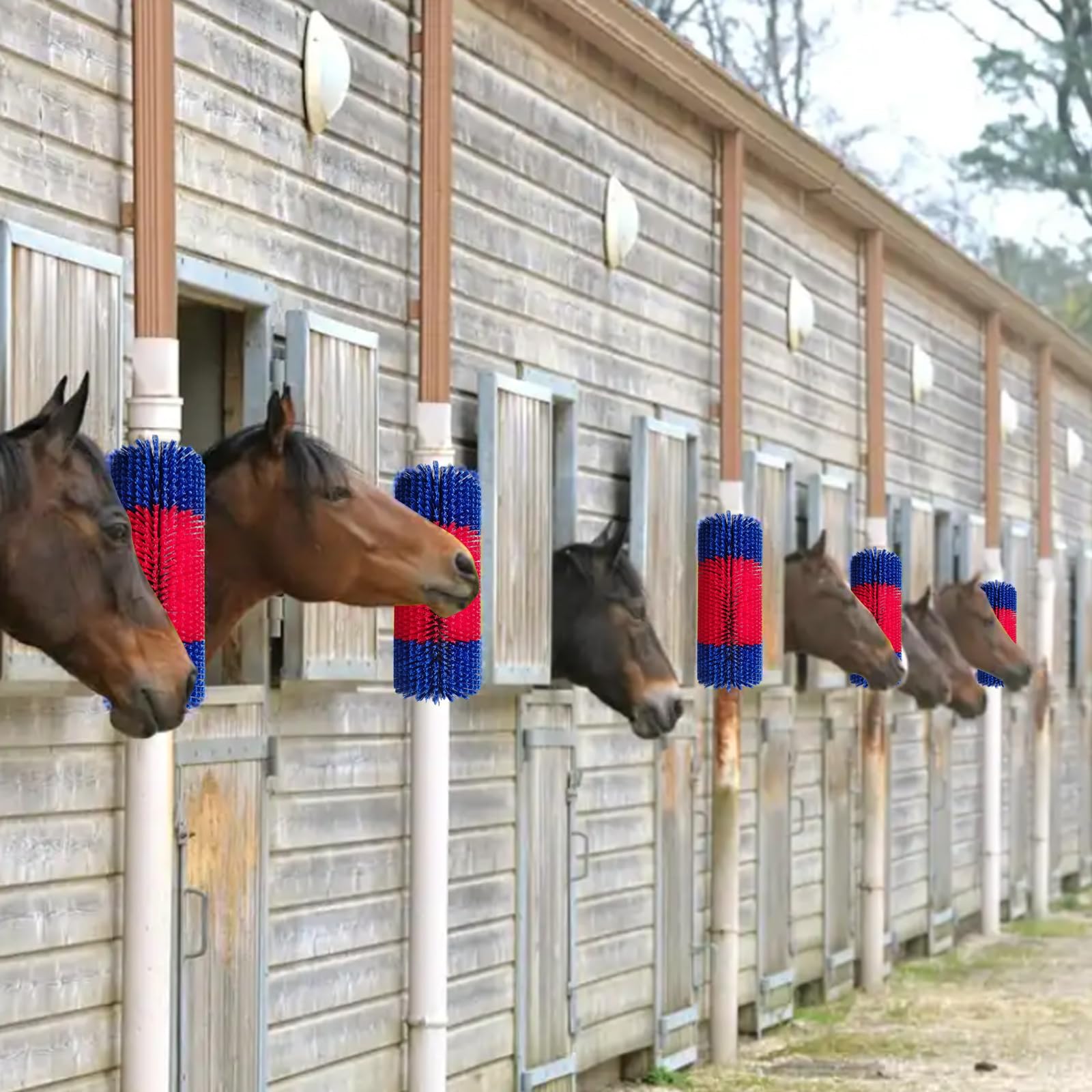 Cepillos de masaje para caballos, cepillos rascadores para caballos, vacas y cabras, cepillo para tabla de rascar, tabla antipicazón, rascador de espalda, juego de cepillos de masaje, cepillos de