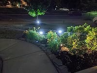 Review Image by Antoinette Antoinette