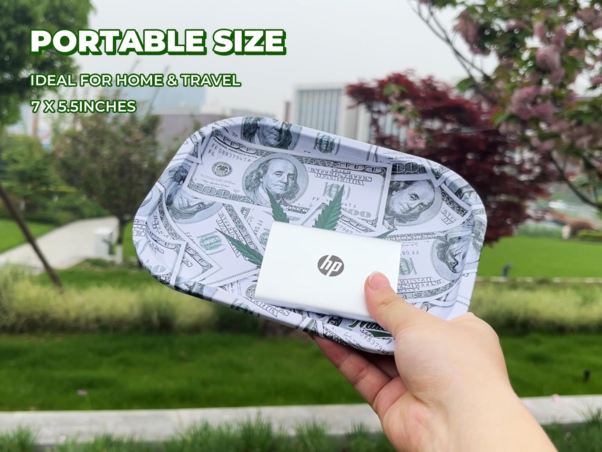 Premium Small Metal Tray, 7