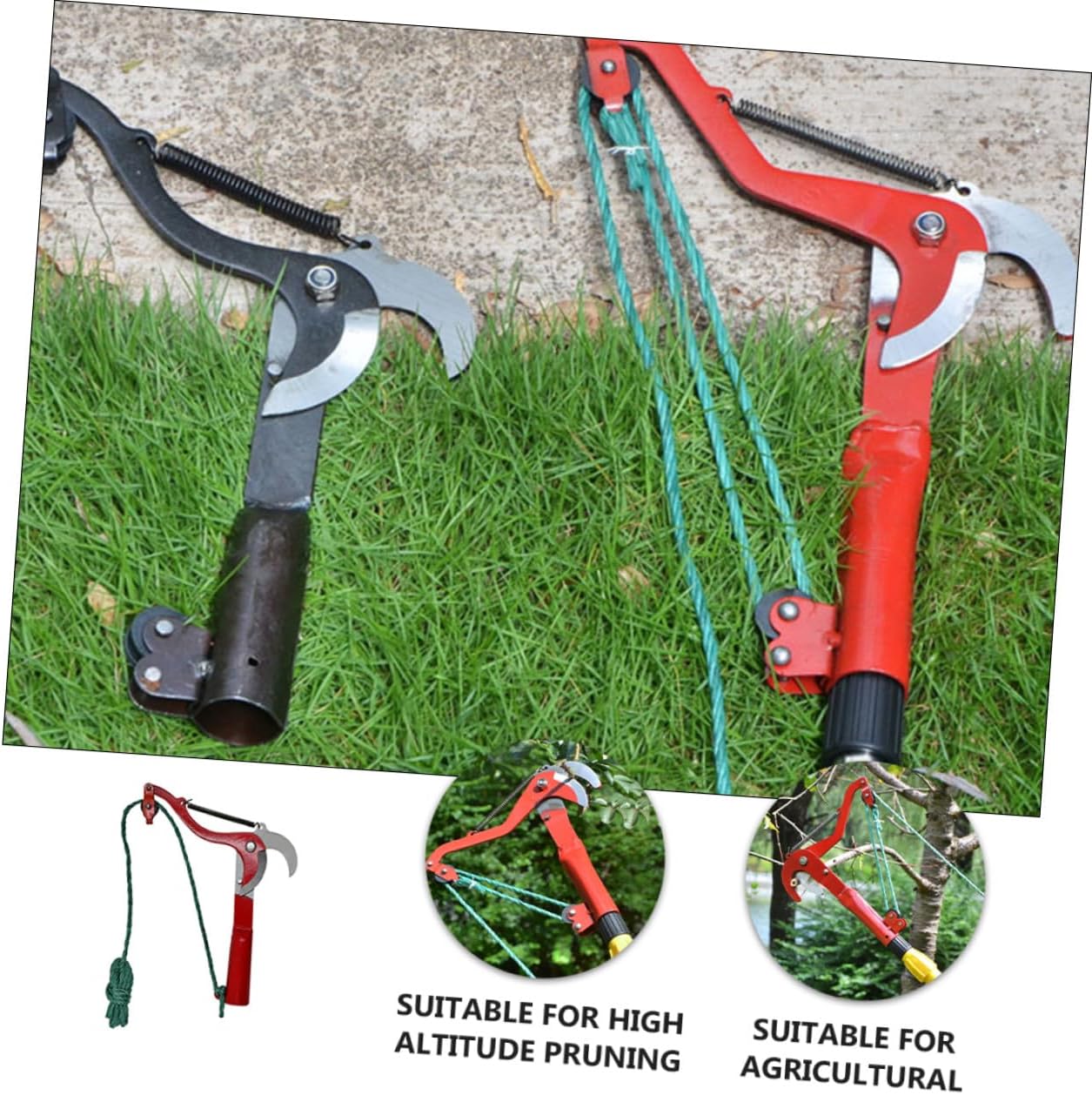 GLEAVI Extendable Tree Pruner with Rope High-branch Trimming Shears for Garden and Fruit Trees Sturdy Plant Harvester Clipper and Branch Cutting