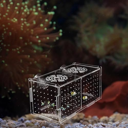 Miniatura 19 de Caja de cría de peces, caja de incubadora de incubadora, cajas de cría de peces de acuario, cajas divisorias para eclosionar, accesorio