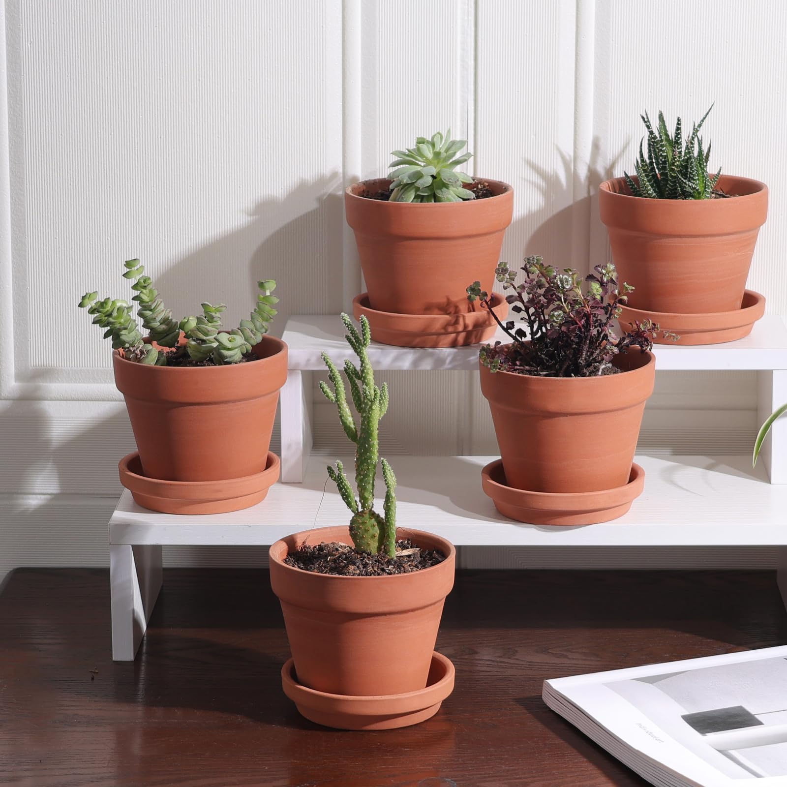 Amazon.com: INGOFIN 4 Inch Terracotta Pots with Saucer - 6 Pack Small Clay  Pots for Indoor & Outdoor Plants : Patio, Lawn & Garden