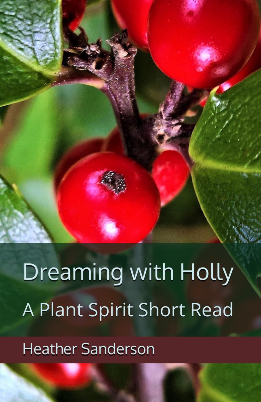 Dreaming with Holly: A Plant Spirit Short Read (Dreaming with the Plants)