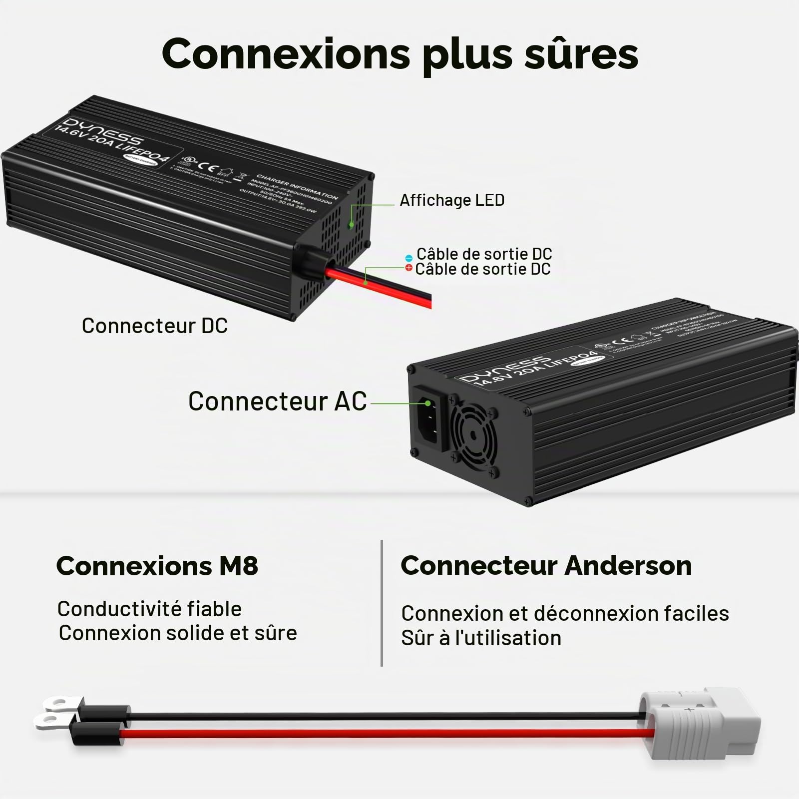 Dyness Chargeur de Batterie LiFePO4 14,6V 20 A pour 12V LiFePO4