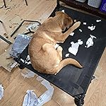 Review Image by Professor J.