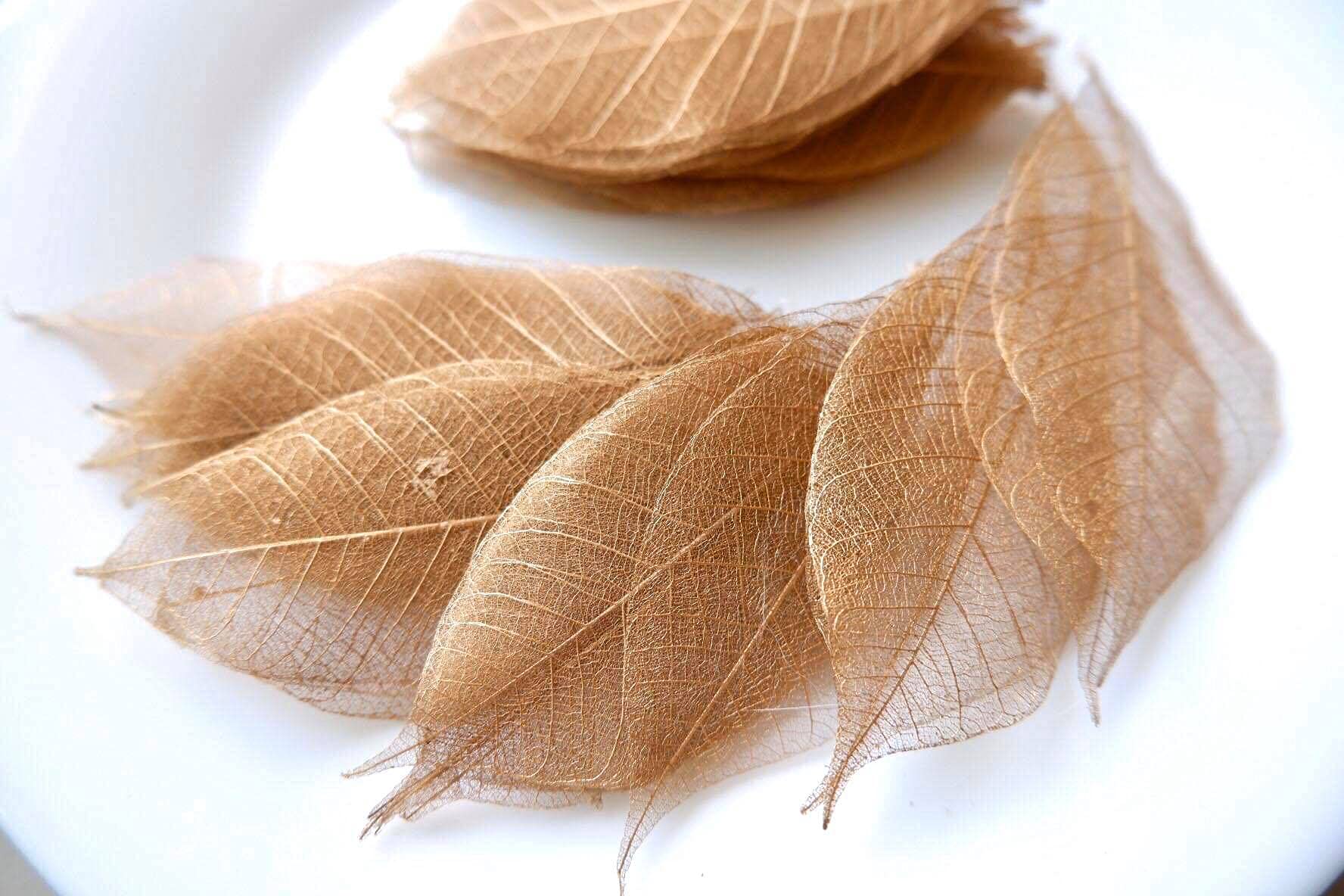 100 Pcs Skeleton Leaves Copper Leaves Natural Rubber Tree Leaves for Crafts Scrapbooking DIY Card Wedding Small Leaves (Copper)