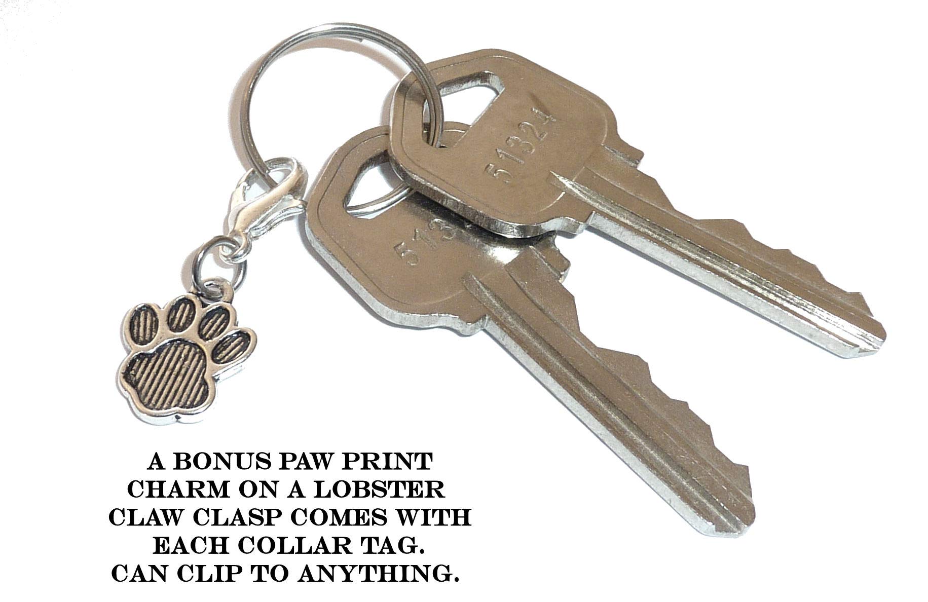 Hidden Hollow Beads Custom Pet Dog and Cat Tags, Funny Cute Charm Sayings for Your Pet's Collar. for Pet Lovers. (I Love My Fur Babies Charm)