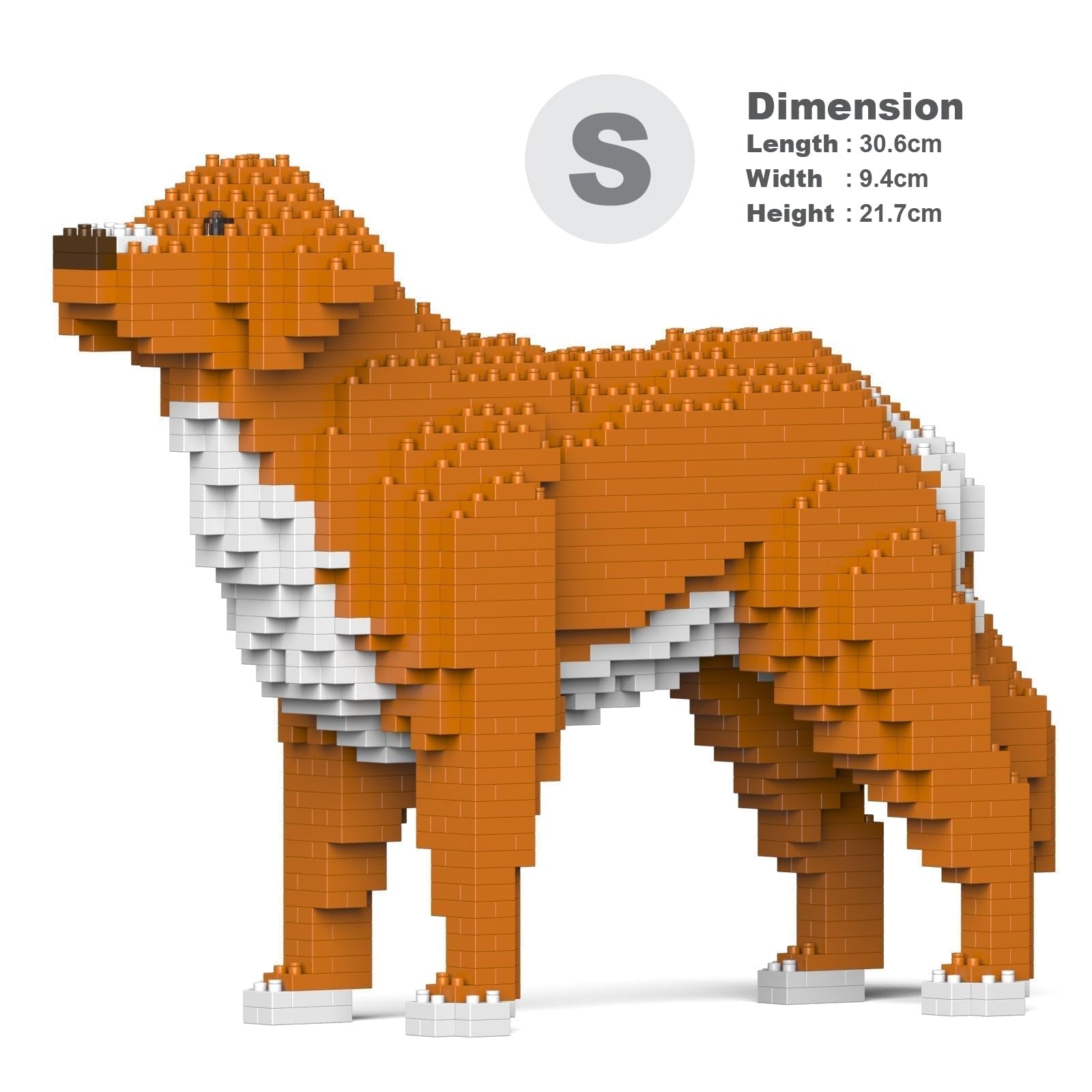 Amazon.com: JEKCA Nova Scotia Duck Tolling Retriever 01S-M01 | Dog