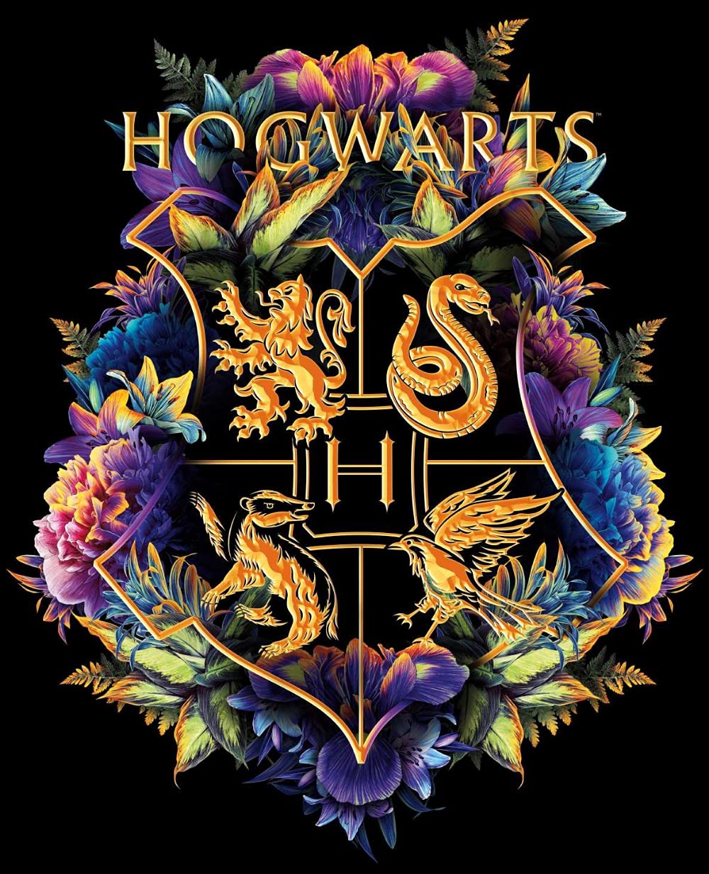 BEAYIOU 5D Diamond Painting Kits for Adults - Diamond Art Kits for Adults Kids Beginner,DIY Harry Boy Magic Badge Full Drill Paintings with Diamonds Gem Art for Adults Home Wall Decor 11.8x15.7inch