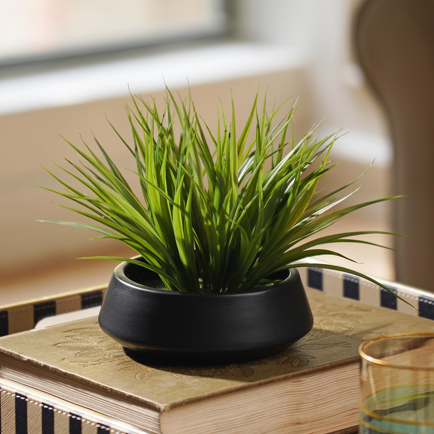 PURE HOME + LIVING Green Artificial Grass in Cement Pot - Medium Artificial Plants, Artificial Grass, Fake Plants, Ideal for Living Room, Balcony, Bedroom,Decoration Vintage Plastic Pot (Pack of 1)-image-41