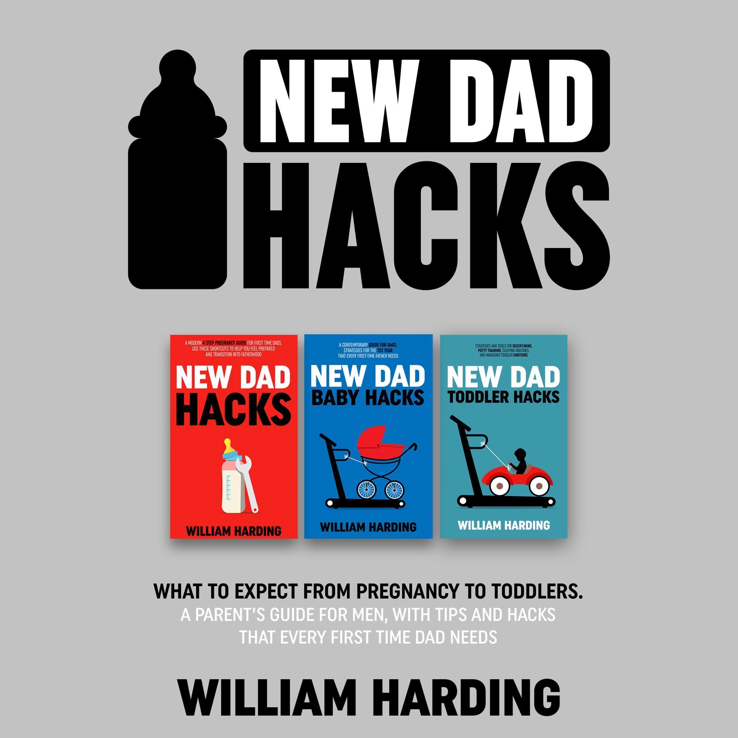 Cover art for New Dad Hacks 3 in 1
