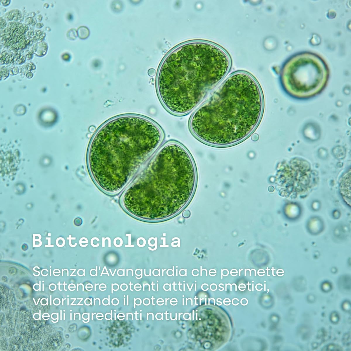 Omia Oxygenium, Crema Viso Anti-Imperfezioni per Pelli Miste, Regolarizza il Sebo e i Pori Dilatati, Uniforma e Opacizza la Pelle, Formula Vegana, 40 ml