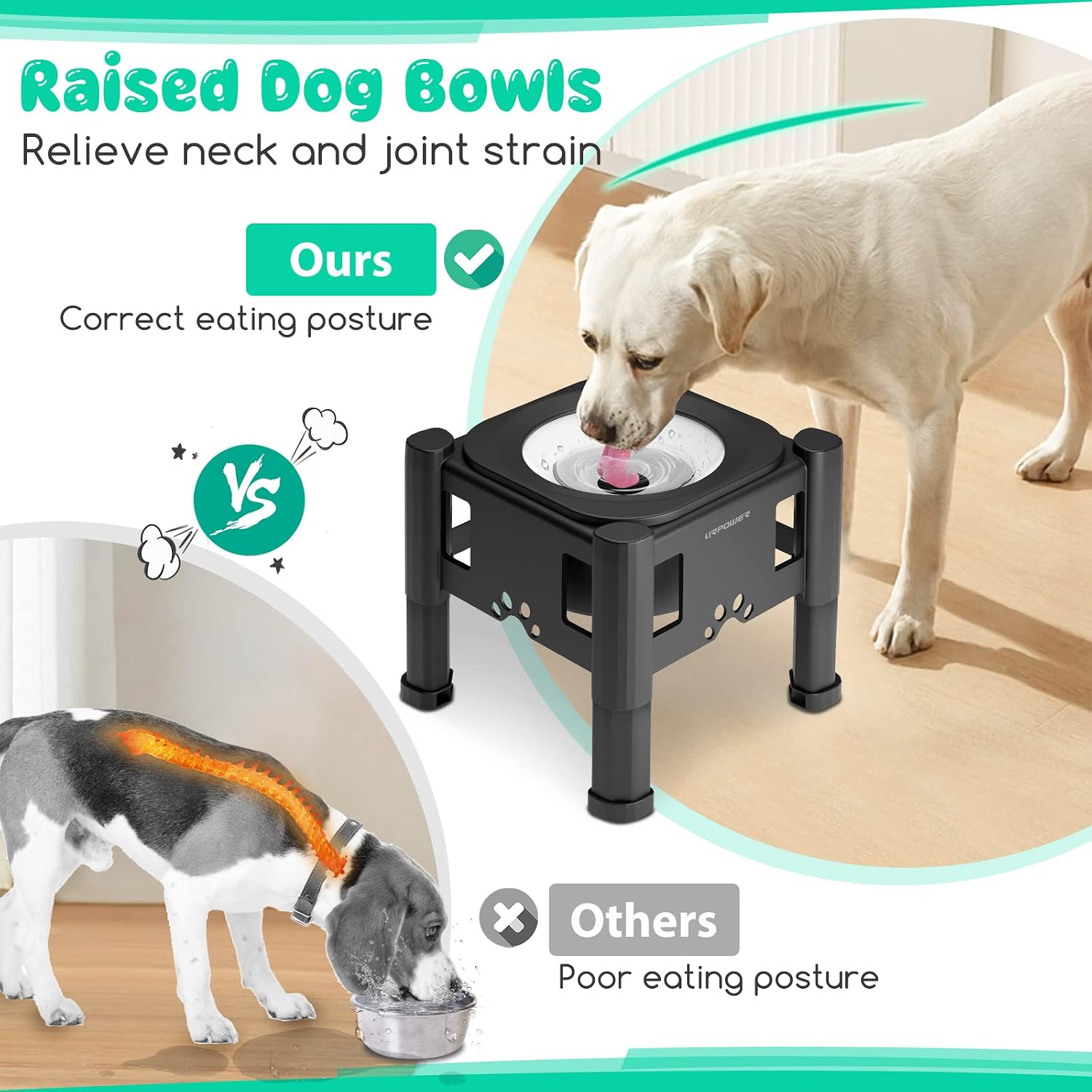 URPOWER 75oz Raised Dog Water Bowl 3 Height Adjustable Elevated Dog Bowls 2.2L Large Capacity Cat Water Bowl No Spill Water Bowl for Messy Drinkers Non-Slip Slow Water Feeder for Dogs, Cats & Pets