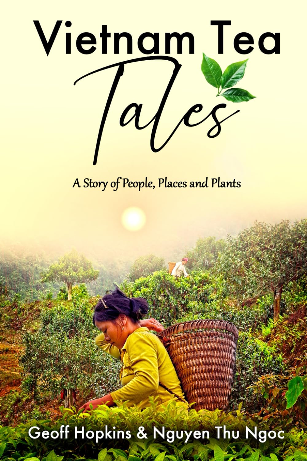 Vietnam Tea Tales: A Story of People, Places and Plants