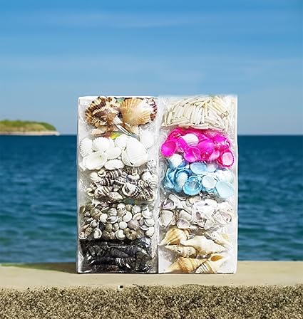 ARTBOX 10 Packets DIY Art and Craft Hobby Koudi Decoration Items for Kids and Adults School, Home, Birthday Gifts and Return Gift Ideas ( 10 Assorted Packets ) Koudi Shells Beeds