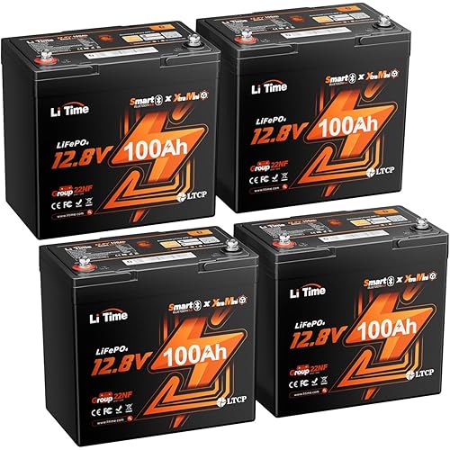 LiTime 12V 100Ah Xtra-Mini Bluetooth Trolling Motor LiFePO4 Battery, 12 Volt MINI Small Lithium Batteries, Up to 15000 Deep Cycle, 100A BMS for RV, Camper, Travel Trailers, Boat, Yacht, Kayak (4-Pack)