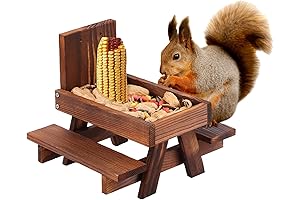 Squirrel Picnic Table Feeder