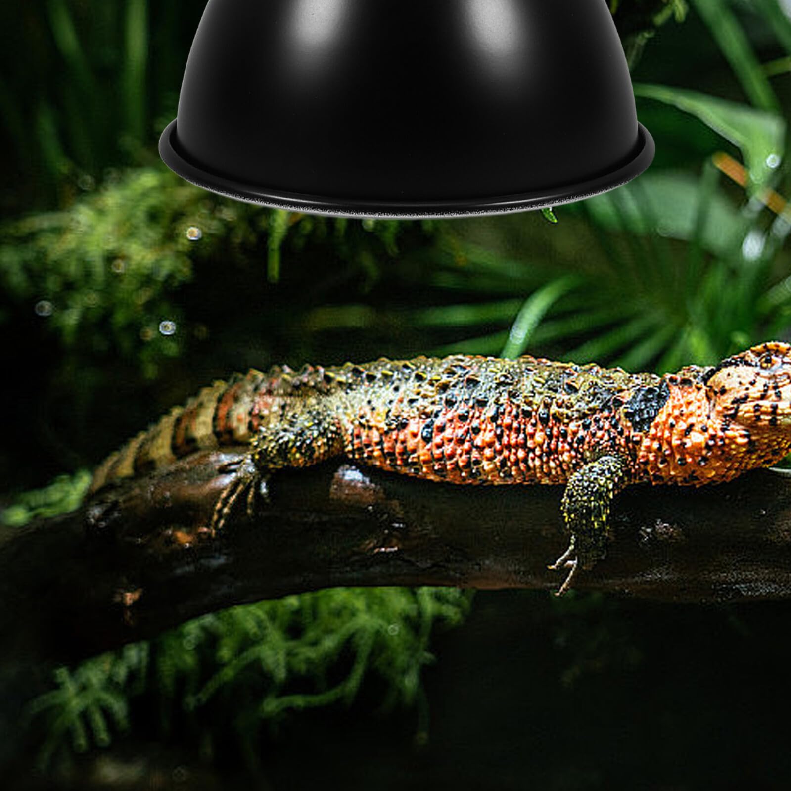 Paralume per Lampada Riscaldante Rettili in Ferro, Copertura Riflettente Isolante 8,5” per Gabbia Animali Domestici, Miglior Utilizzo Luce e Risparmio Energetico, Installazione Rapida