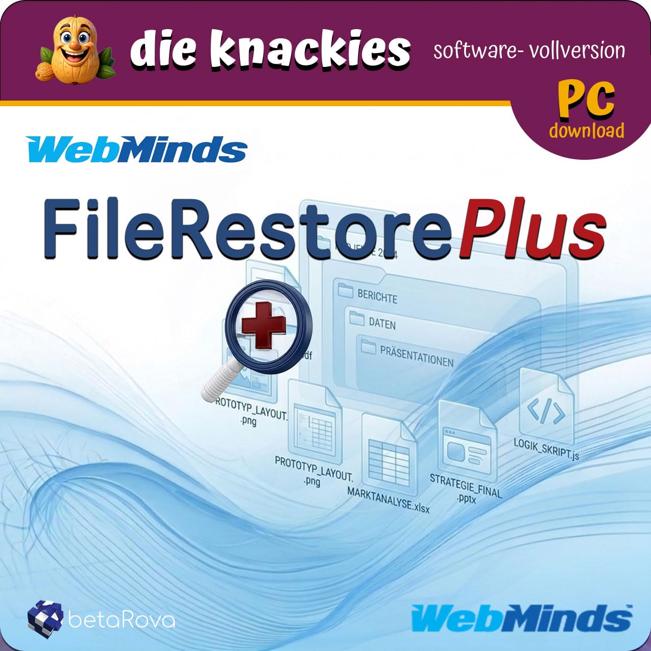 die knackies -WebMinds - FileRestorePlus - Datenrettung für PC | Gelöschte Dateien Wiederherstellen | Datenrettungssoftware für HDD SSD USB-Stick SD-Karte & Papierkorb | Dauerlizenz + 1 Jahr Updates