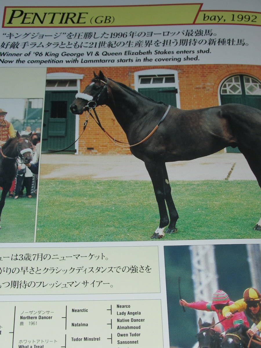 Amazon.co.jp: 種牡馬カタログ パンフレット 社台スタリオン