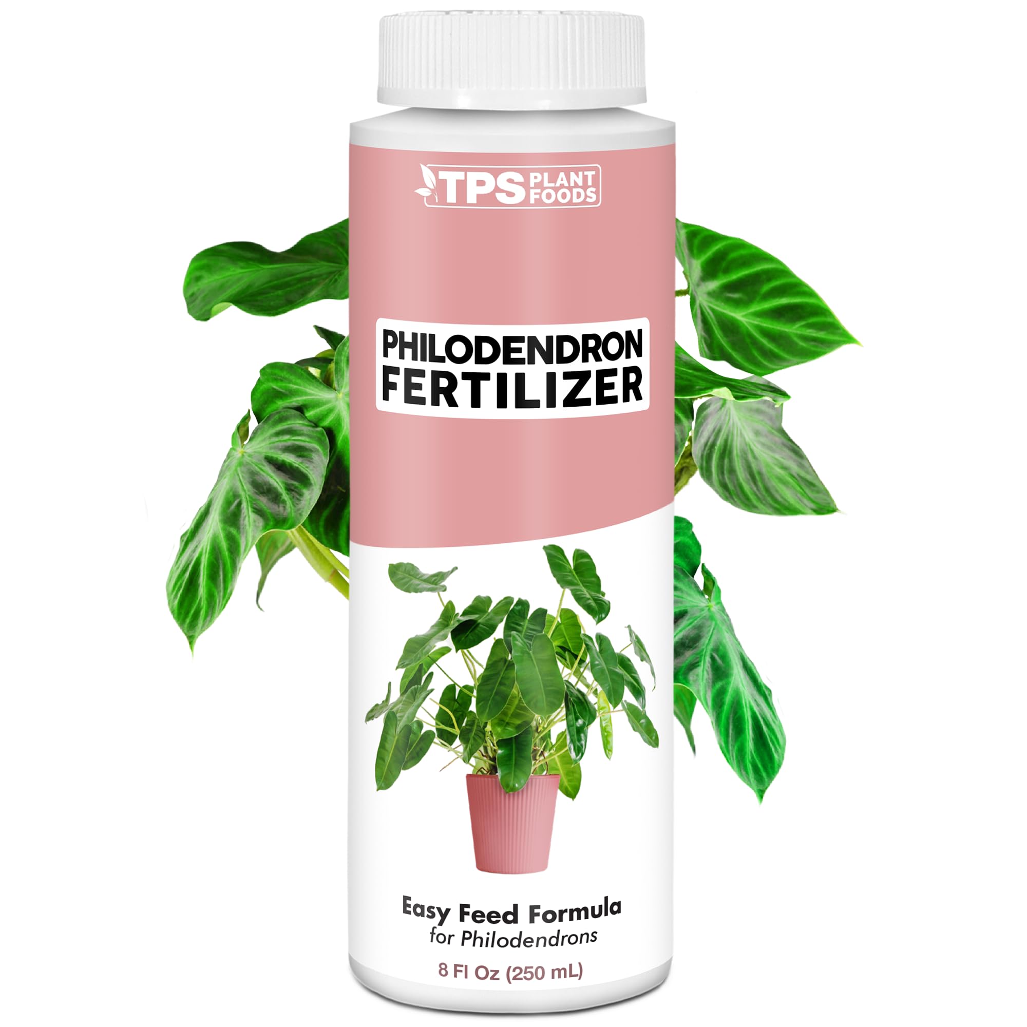 Amazon.com : Philodendron Fertilizer  Liquid Plant Food for Bigger Leaves,  Lush Foliage & Steady New Growth, 8 oz : Patio, Lawn & Garden