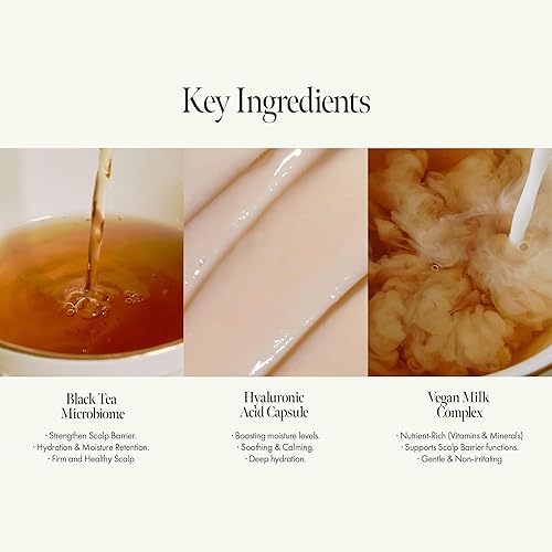 Miniatura 3 de Champú Vegano Nutritivo para el Cuero Cabelludo con Té Negro, Ácido Hialurónico y Aminoácidos para Fortalecer la Barrera del Cuero Cabelludo, Aroma