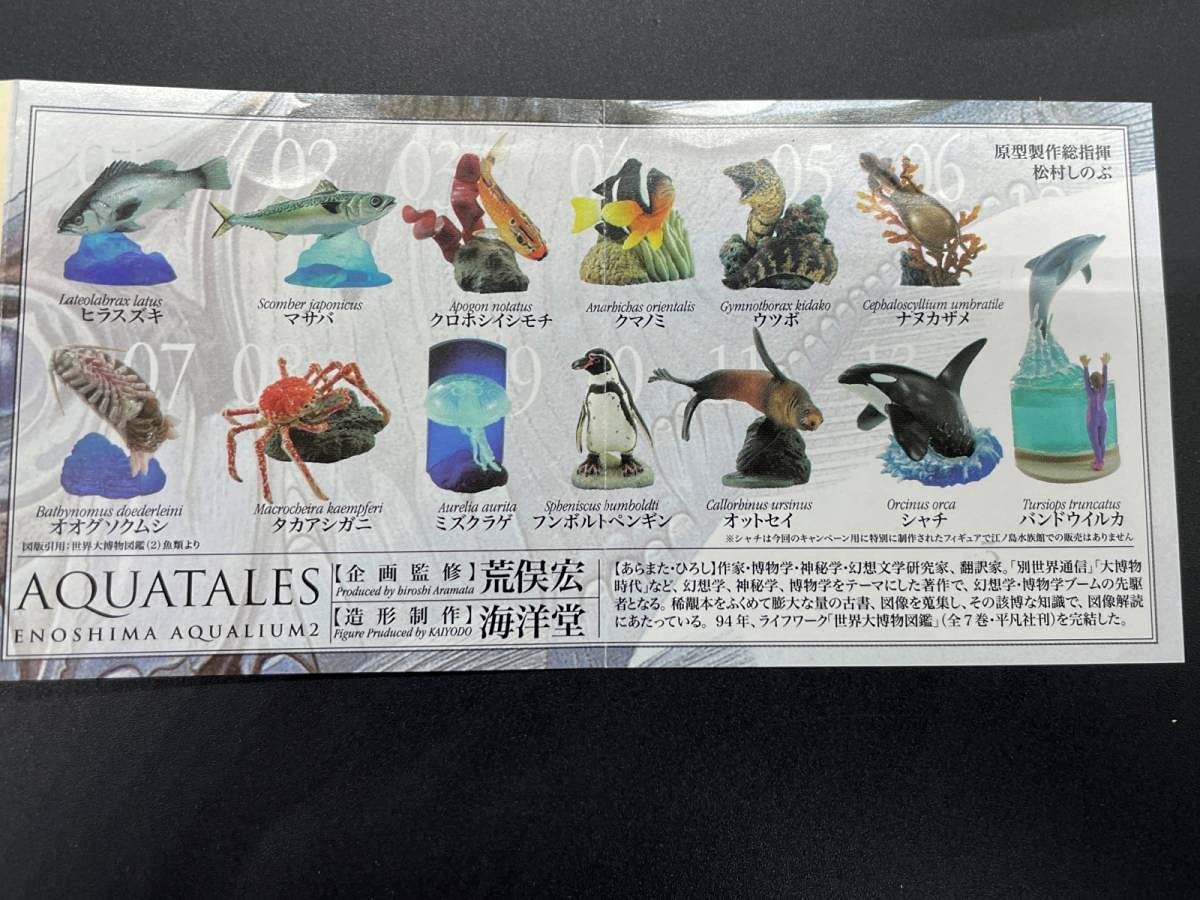 新江ノ島水族館への誘い2全13種☆海洋堂 海洋堂 新江ノ島水族館への誘い2 シャチ KG00160 - ガシャポン