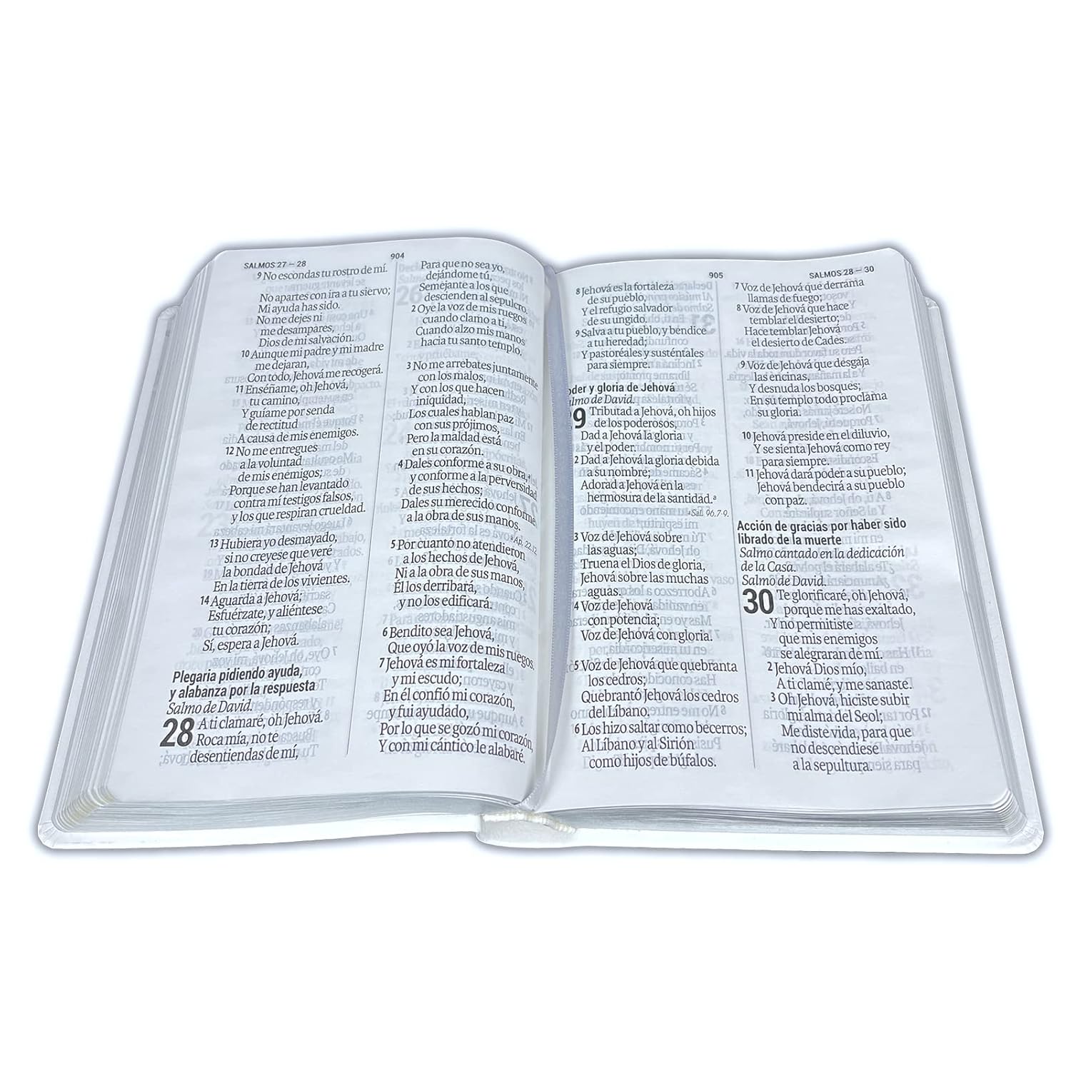 Biblia para Boda Letra Gigante RV1960 imit. piel manual, blanco con letras plateadas para novios      Imitation Leather – November 1, 2021