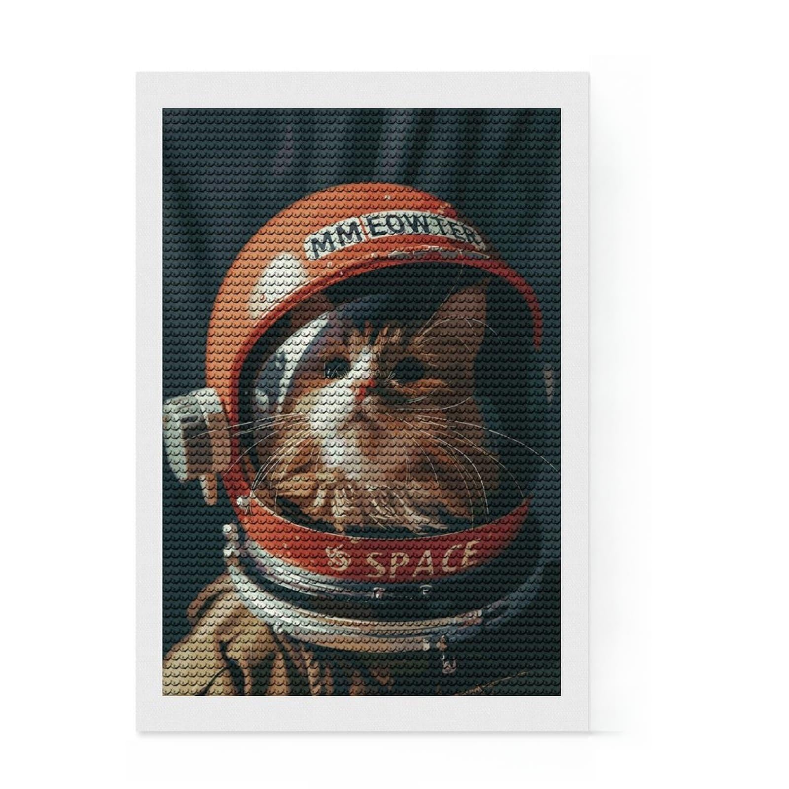 Junmoney Cat Astronaut Diamond Art Canvas 8"x12", Adhesive Canvas, Easy to Follow Symbols, Living Room Decor, Holiday Gift Idea