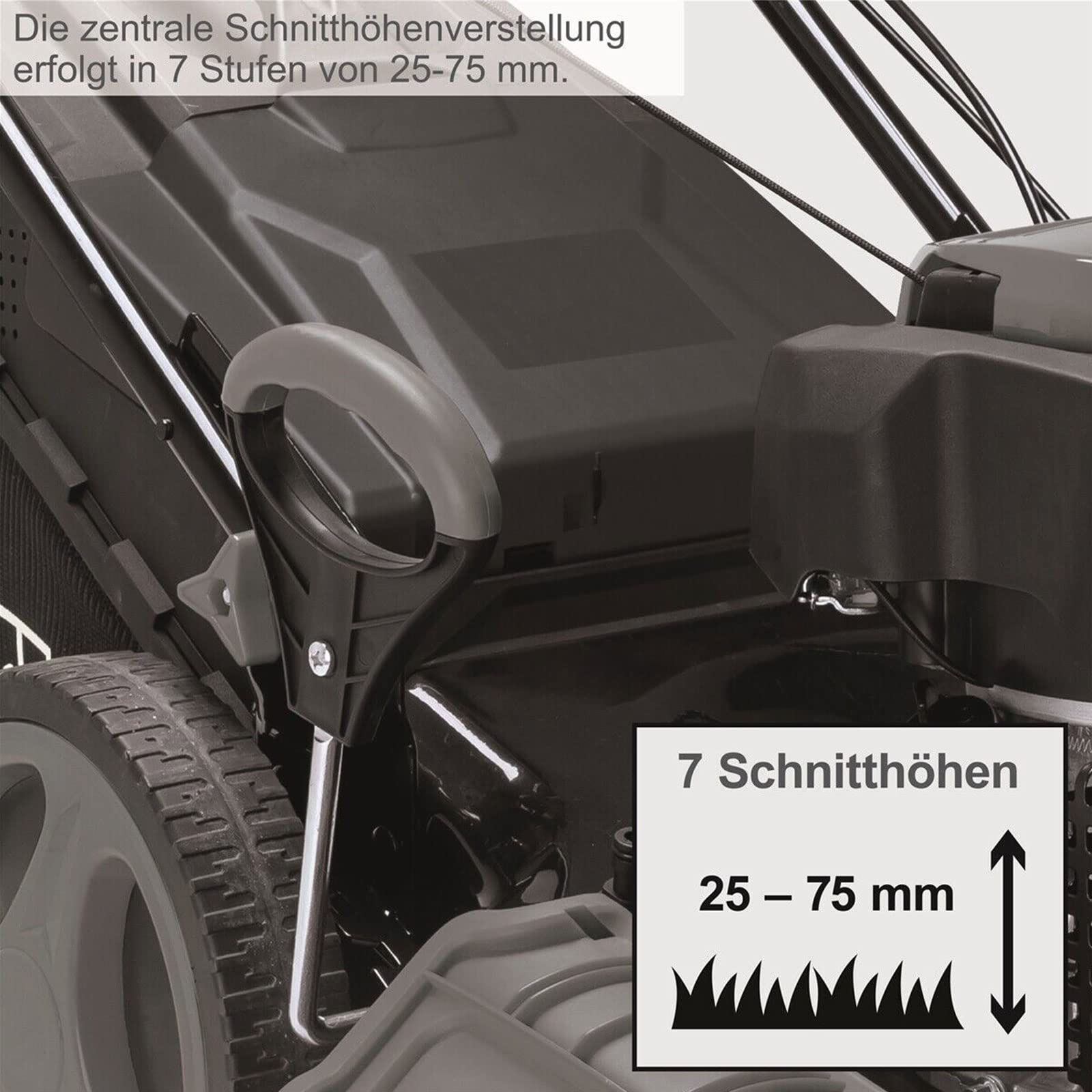 Scheppach Rasenmäher Benzin MS197-51B Trike mit Antrieb | 6in1 Funktionen | 4-Takt Motor / 5,2PS Leistung / 200 CCM | 51cm Schnittbreite | 65L Fangkorb | 7-Fach Schnitthöhenverstellung 25-75mm