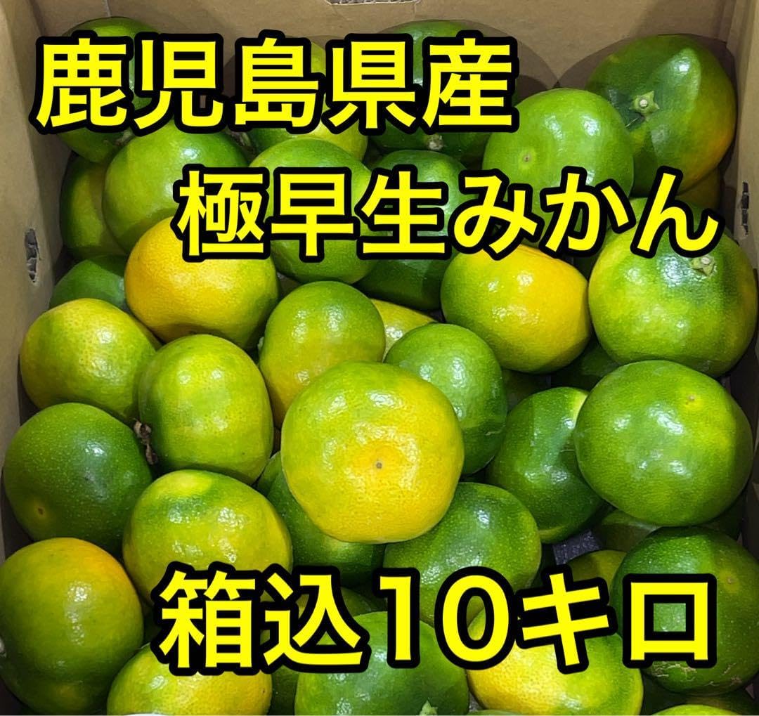 鹿児島県産 極早生みかん 2S〜Sサイズ 箱込10キロ k - メルカリ